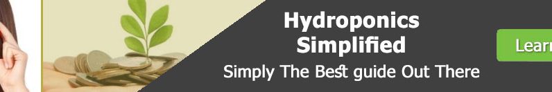 What Is Organic Vegetable Gardening And How Does It Differ From Traditional Gardening