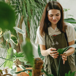 Essential Organic Gardening Tips for New Gardeners!