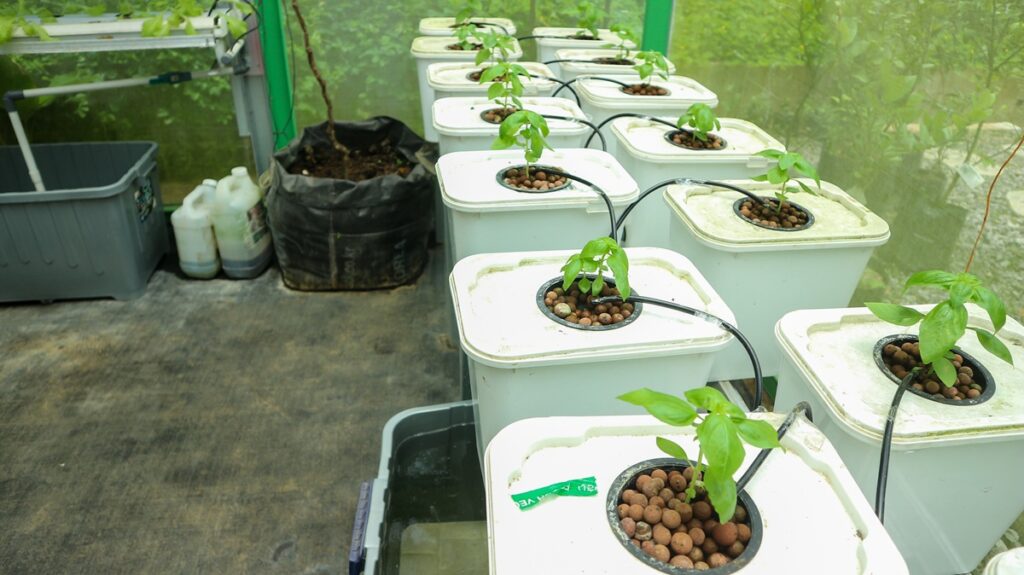 How Do I Plan A Sustainable And Productive Homestead Garden? — Homesteading a Gardening