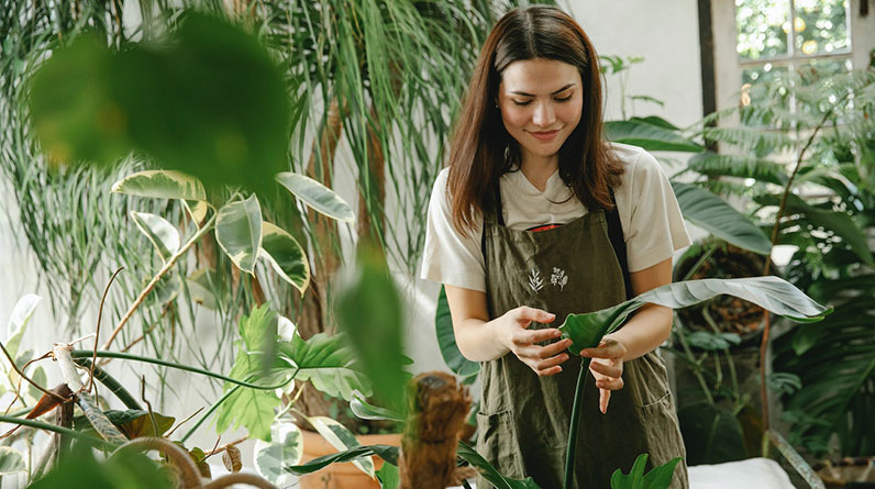 Avoid These Pitfalls: Navigating Common Organic Hydroponic Gardening Mistakes for Thriving Crops