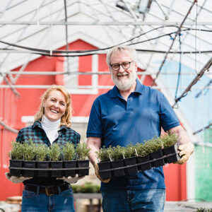 What Are Some Effective Organic Gardening Tips For Beginners