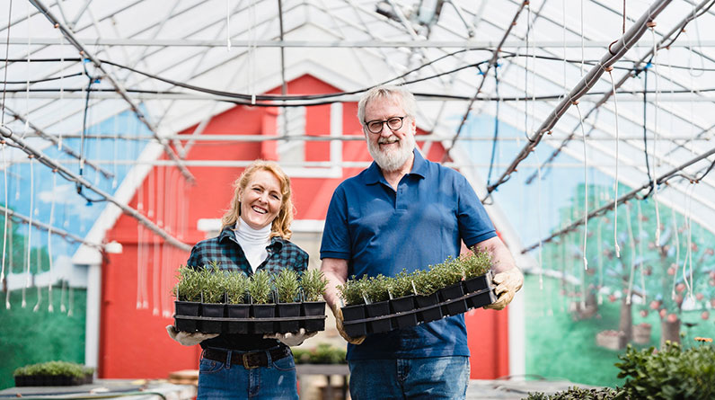 What Plants Grow Best In Hydroponic Gardening Systems